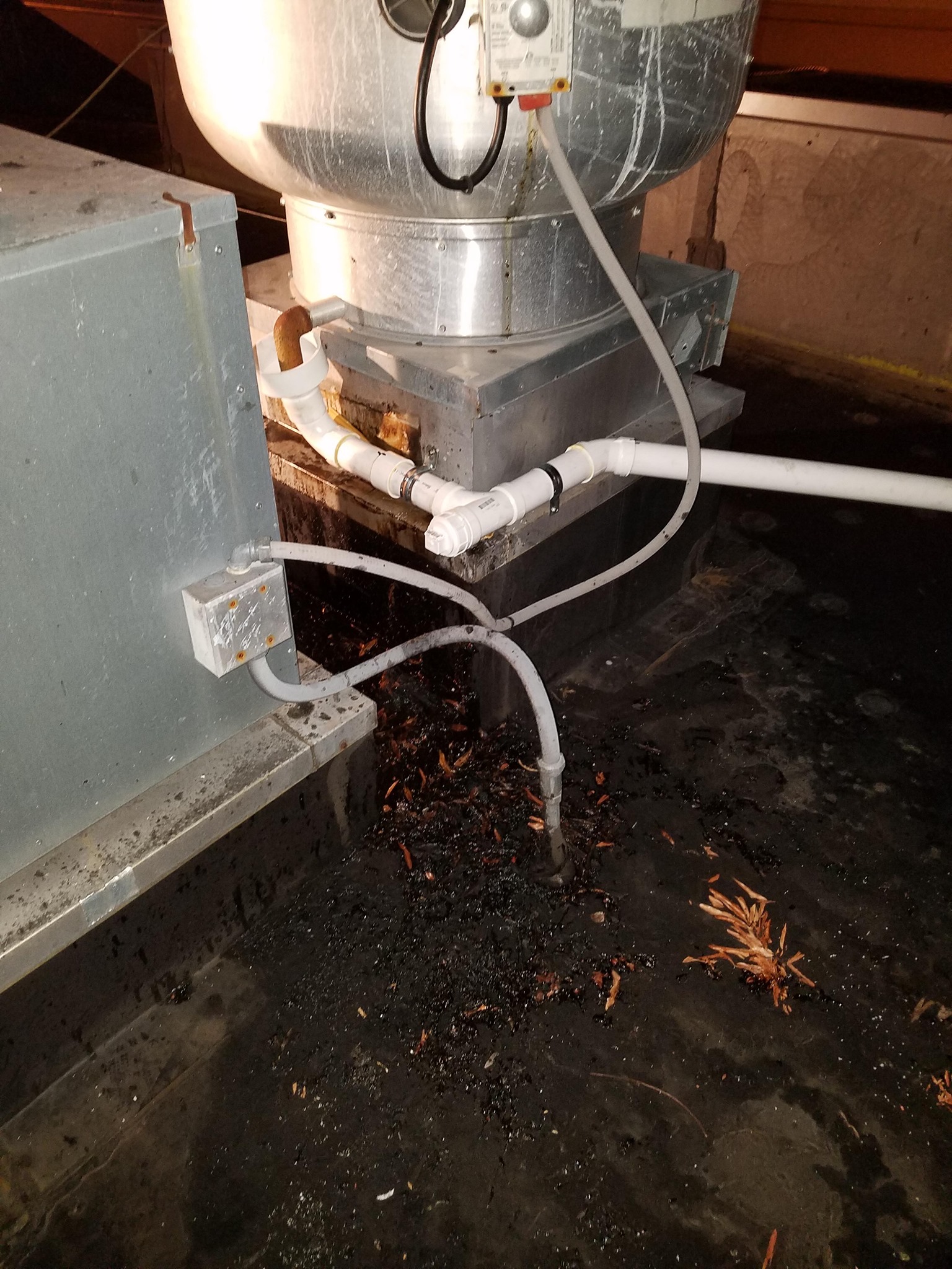 DDAN Hood Cleaning work photo 1